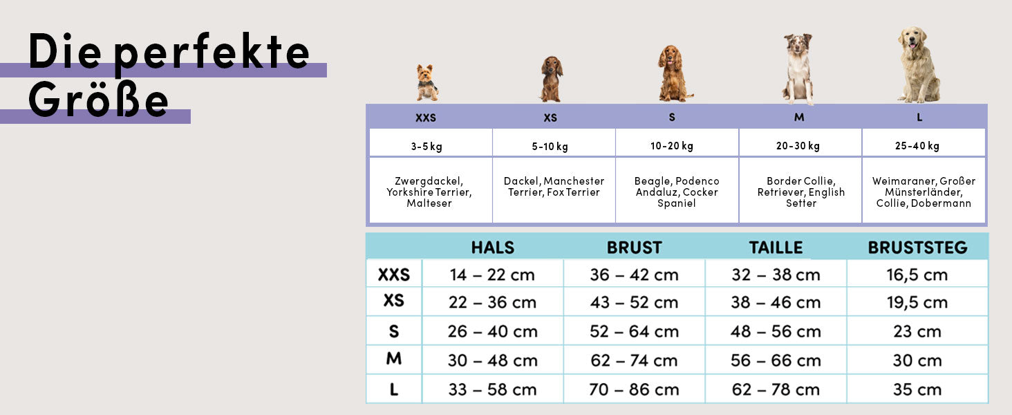 Die perfekte Größe für kleine Hunde und große Hunde. Größentabelle für Hundegeschirre.