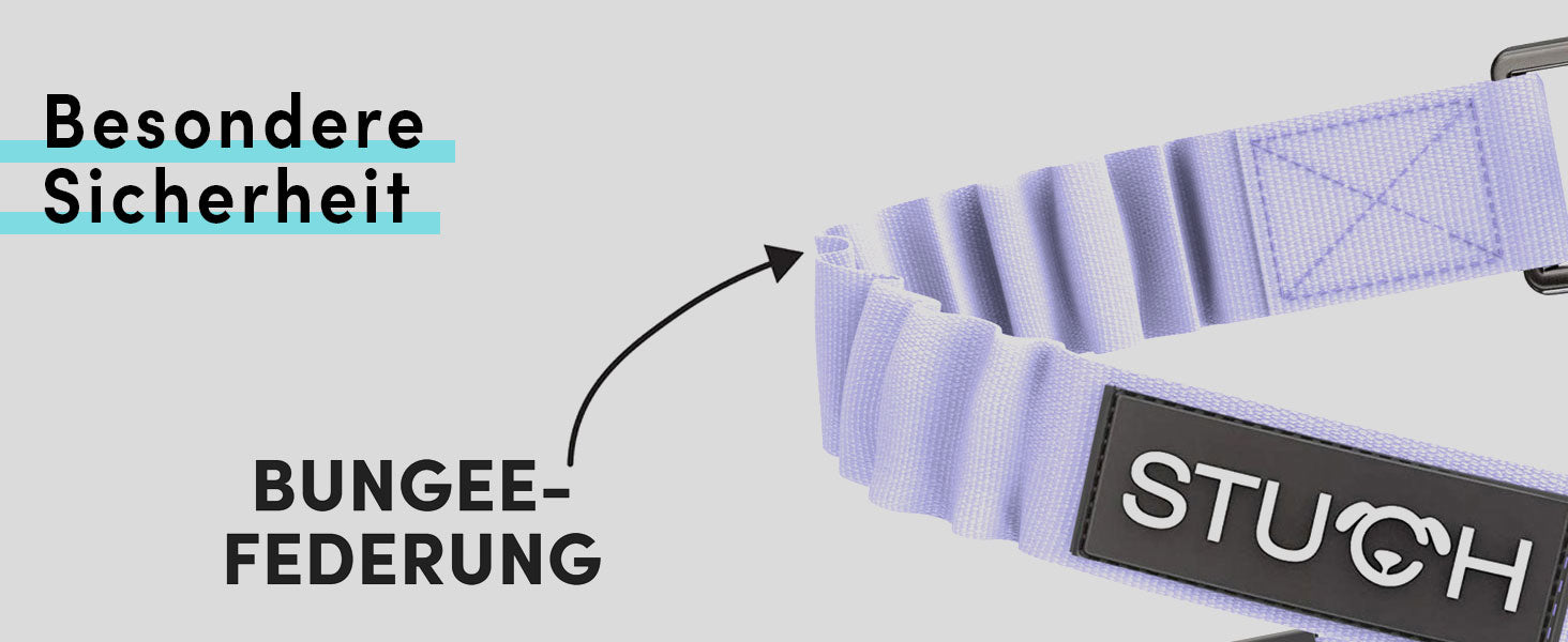 Hundegurt mit Bungee Funktion für eine besonders sichere Autofahrt.