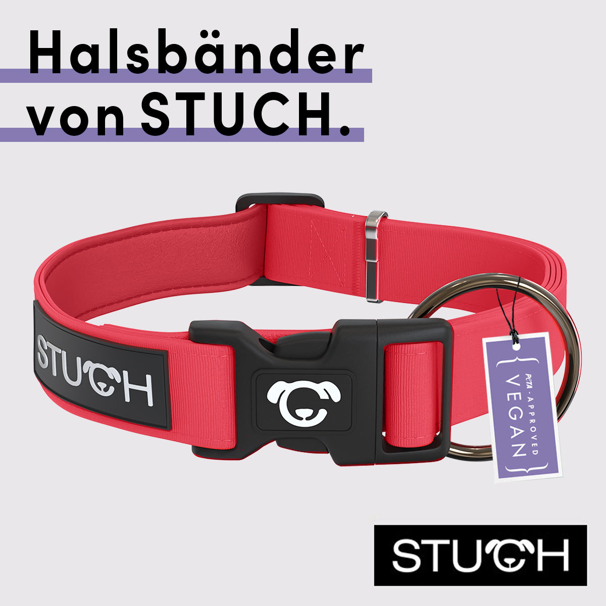 Vegane Halsbänder für Hunde mit Polsterung.