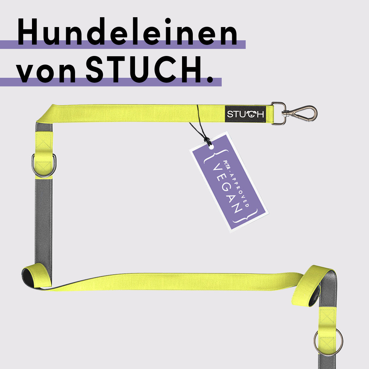 Hundeleinen gepolstert in der Farbe Lime.